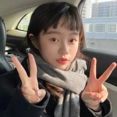 双面艾莉丝海报
