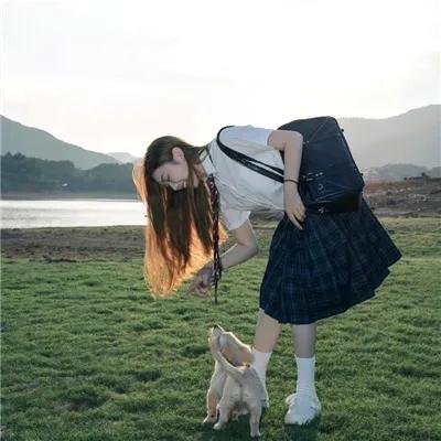 杂草海报